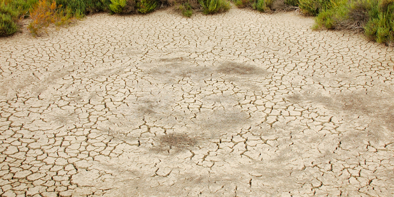 sécheresse catastrophe naturelle Tarn-et-Garonne