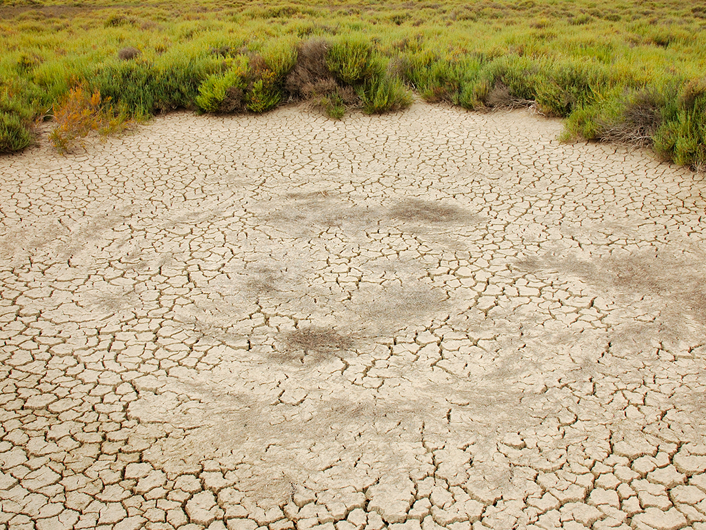 sécheresse catastrophe naturelle Tarn-et-Garonne