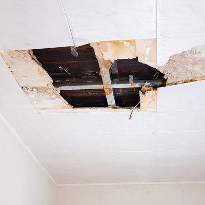 Constater une malfa&ccedil;on grave Tarn-et-Garonne